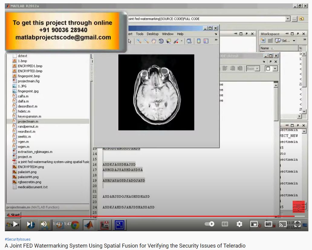 A Joint FED Watermarking System using Spatial Fusion for Verifying the Security Issues of Teleradio project simulation thumbnail for Signal Processing and AI Engineering