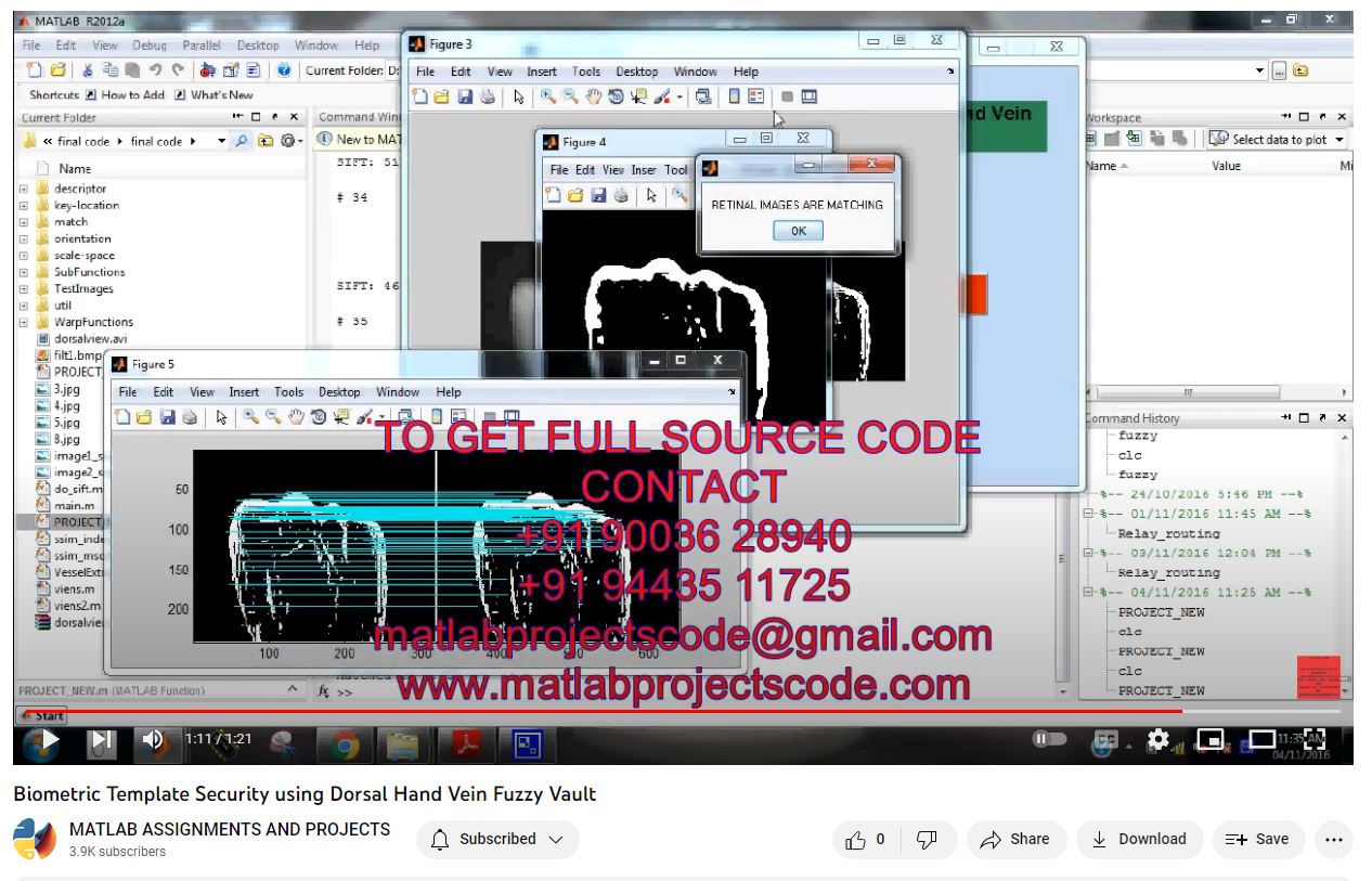 Biometric Template Security using Dorsal Hand Vein Fuzzy Vault project simulation thumbnail for Signal Processing and AI Engineering