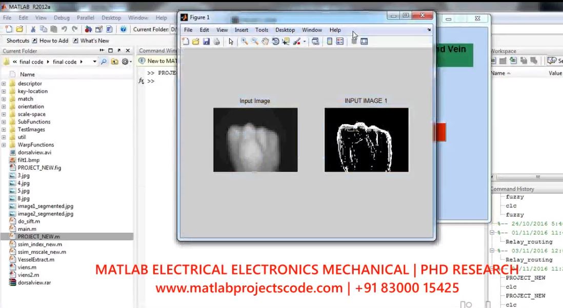 Biometric Template Security Using Dorsal Hand Vein project simulation thumbnail for Signal Processing and AI Engineering