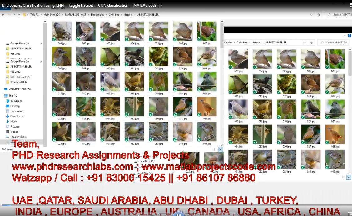 Bird Species Classification Using Cnn __ Kaggle Dataset __ Cnn Classification __ Matlab Code project simulation thumbnail for Signal Processing and AI Engineering