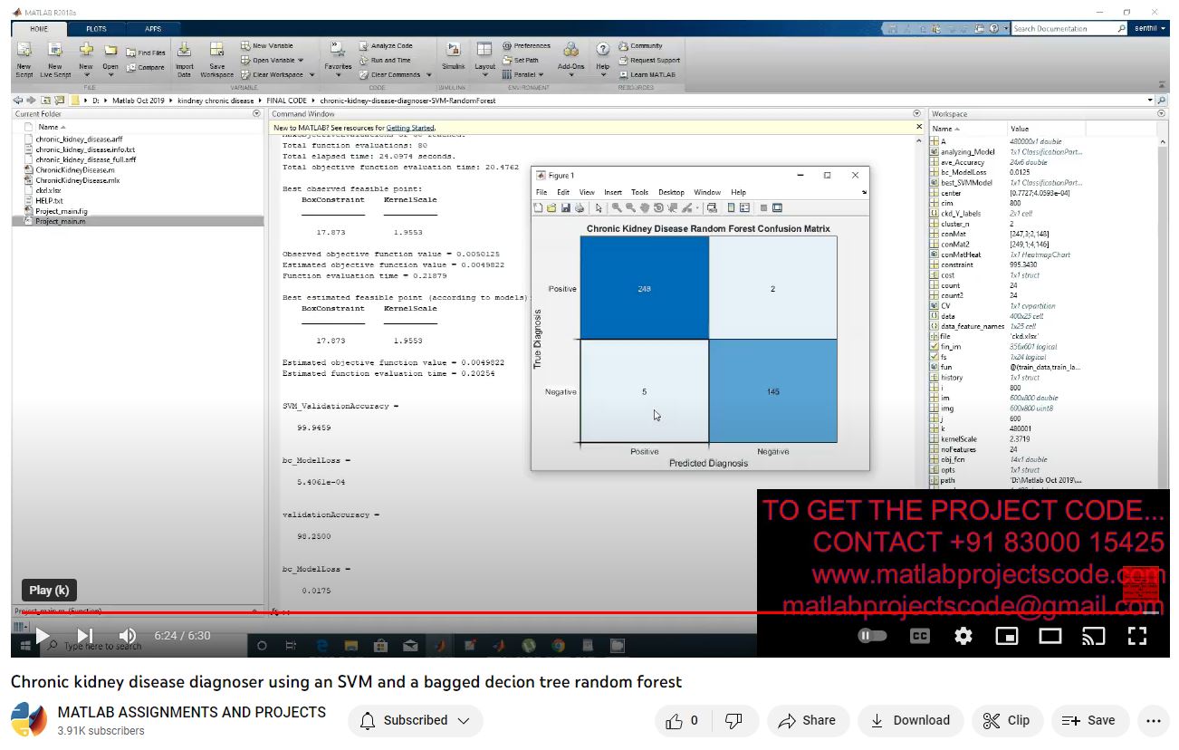 Chronic Kidney Disease Diagnoser Using An Svm And A Bagged Decion Tree Random Forest project simulation thumbnail for Signal Processing and AI Engineering