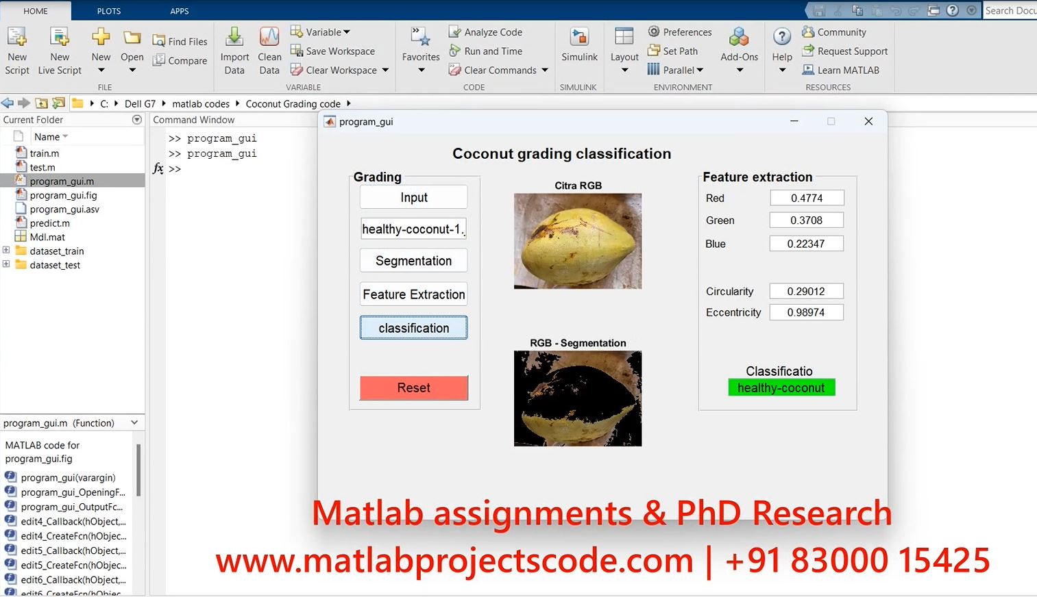 Coconut Grading And Classification Matlab Research project simulation thumbnail for Signal Processing and AI Engineering