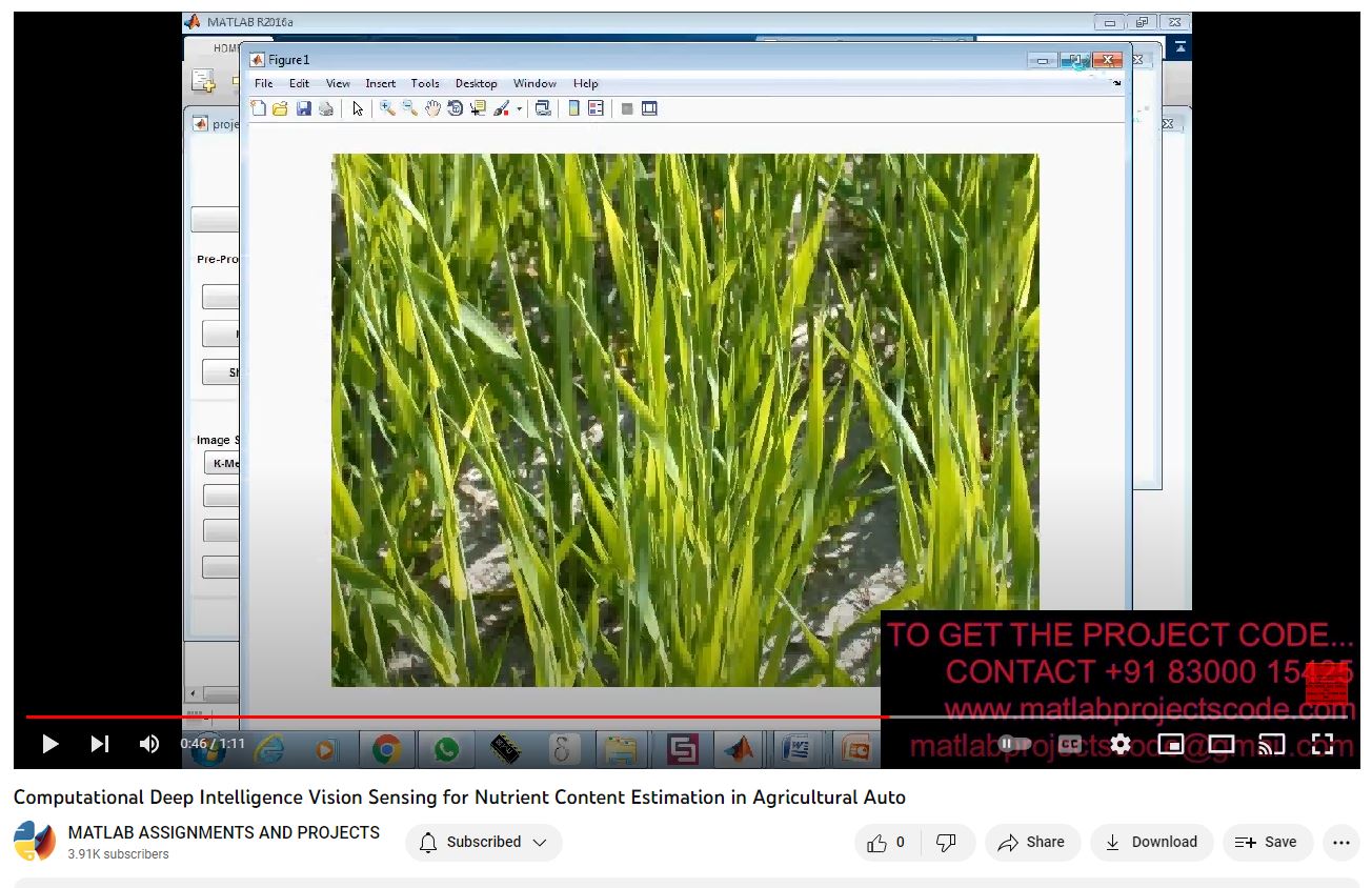 Computational Deep Intelligence Vision Sensing For Nutrient Content Estimation In Agricultural Auto project simulation thumbnail for Electrical Engineering