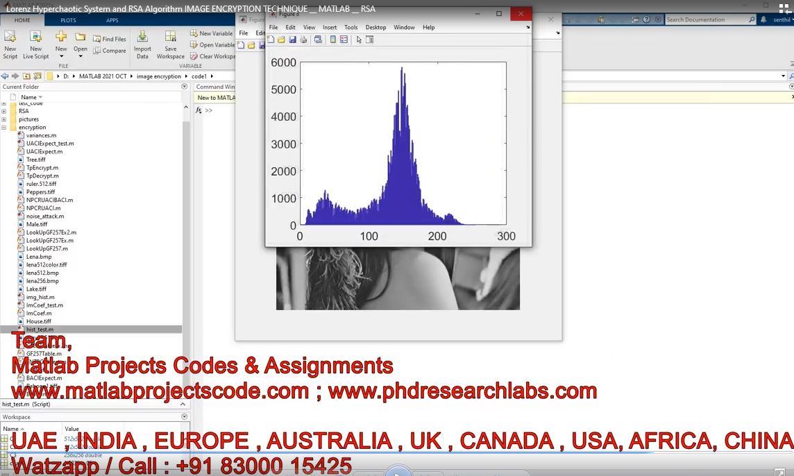Lorenz Hyperchaotic System And Rsa Algorithm Image Encryption Technique - Rsa project simulation thumbnail for Signal Processing and AI Engineering