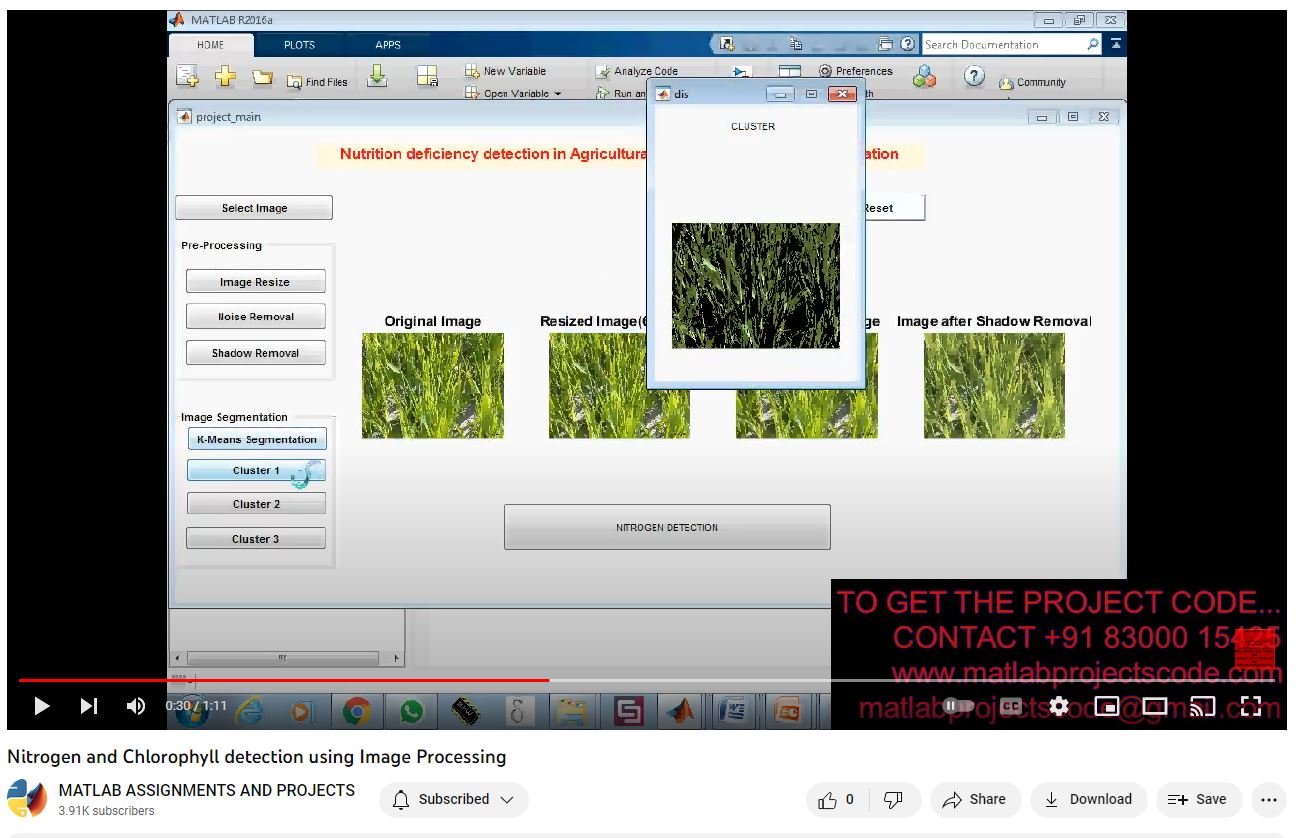 Nitrogen And Chlorophyll Detection Using Image Processing project simulation thumbnail for Signal Processing and AI Engineering