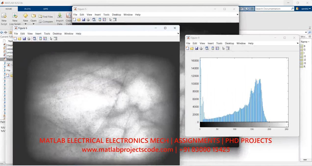 Palm Veins Image Recognition Matlab Code -Image Processing - Phd Research project simulation thumbnail for Signal Processing and AI Engineering