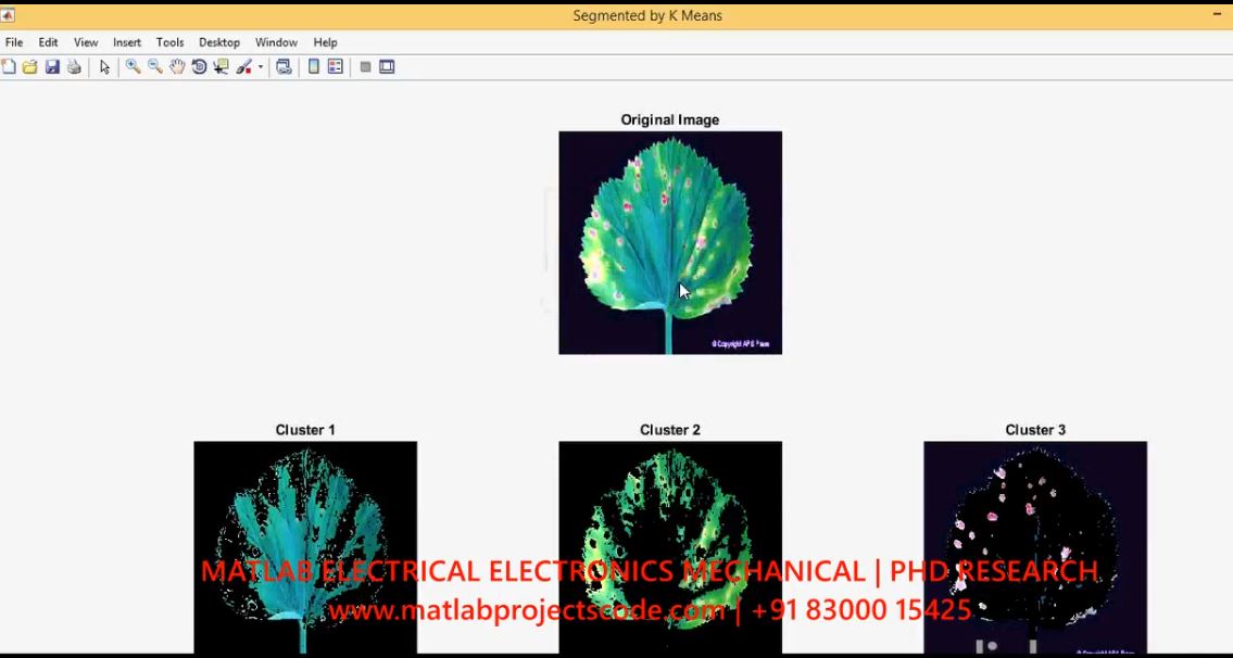 Plant Leaf Disease Detection Using Segmentation And Svm Classification project simulation thumbnail for Signal Processing and AI Engineering