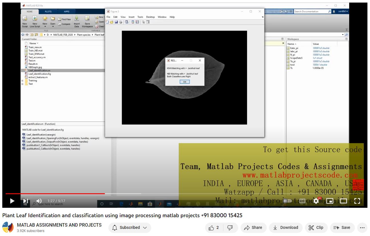 Plant Leaf Identification And Classification Using Image Processing Matlab Projects project simulation thumbnail for Signal Processing and AI Engineering