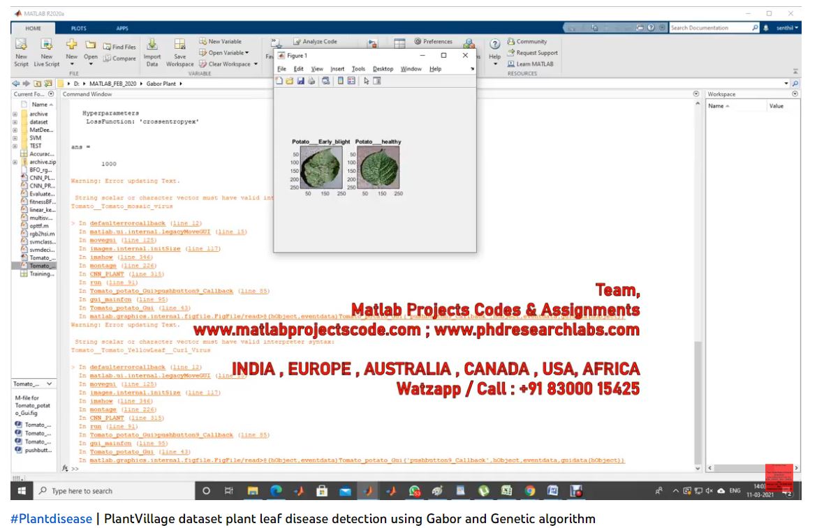 Plantdisease _ Plantvillage Dataset Plant Leaf Disease Detection Using Gabor And Genetic Algorithm project simulation thumbnail for Signal Processing and AI Engineering