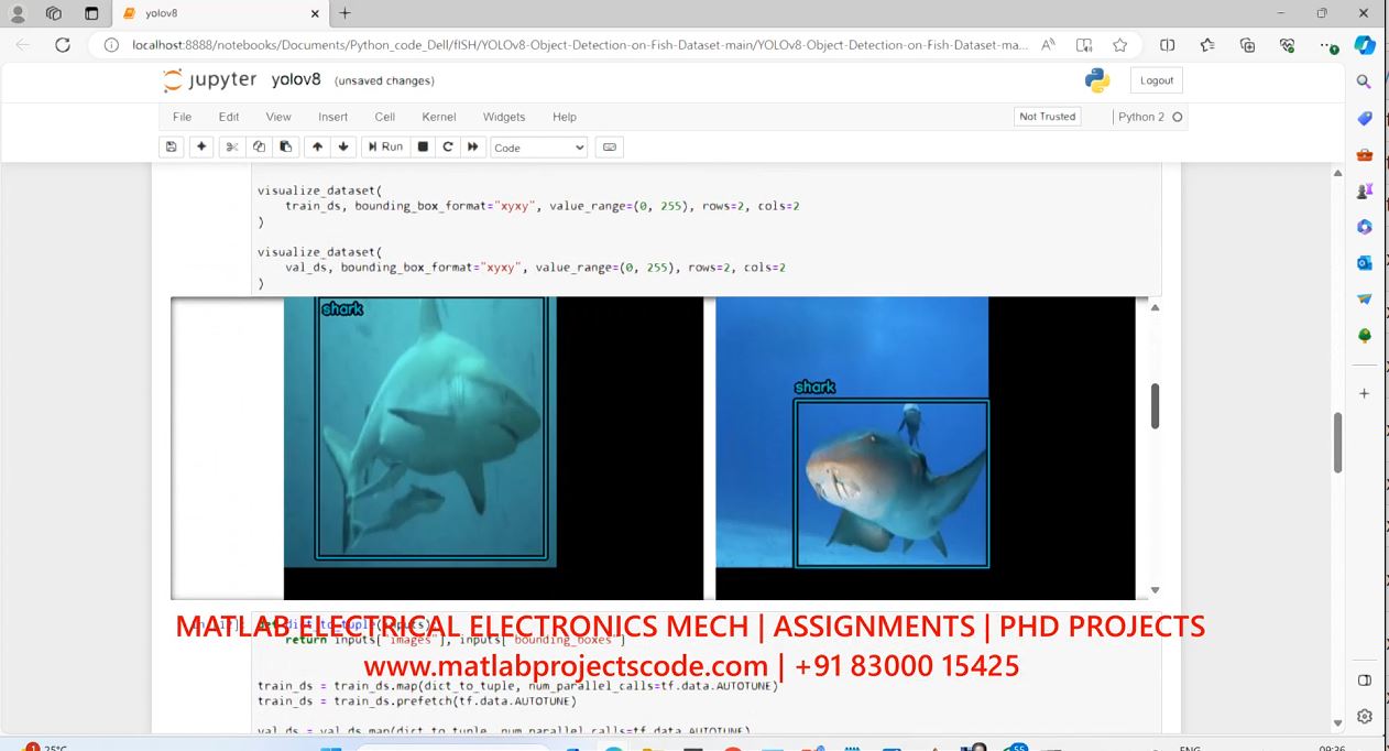 Yolov8-Object-Detection-On-Fish-Dataset-Python-Code project simulation thumbnail for Signal Processing and AI Engineering